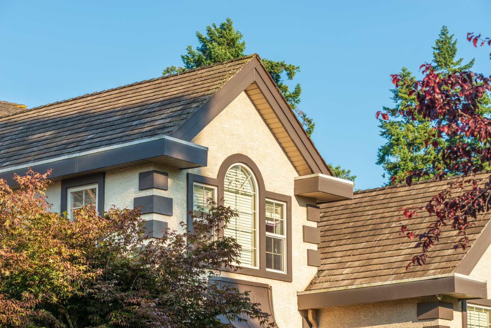 Shingle Roof Replacement