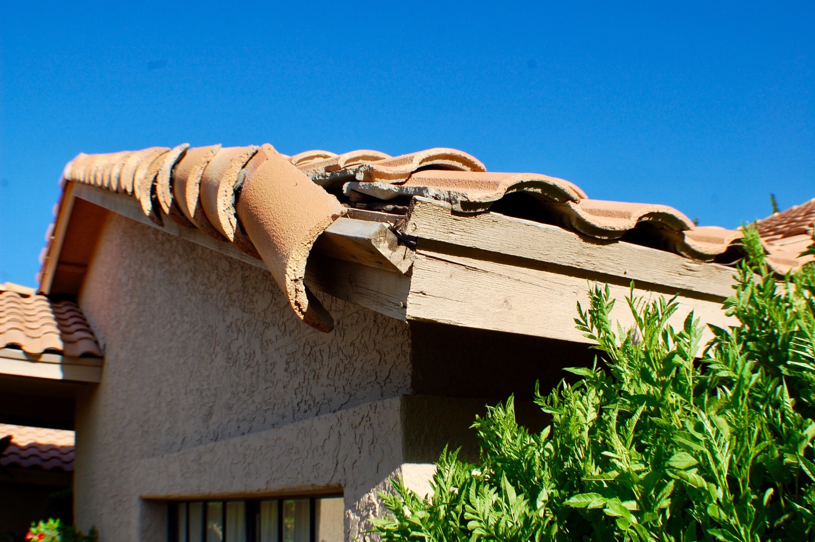 Roof Replacement