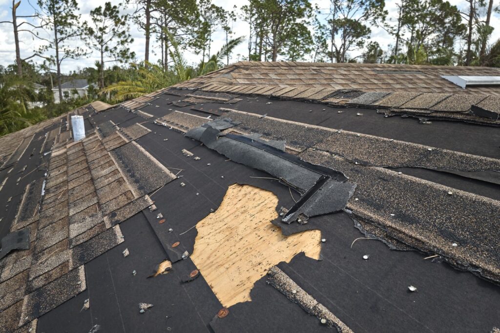 Roof Replacement
